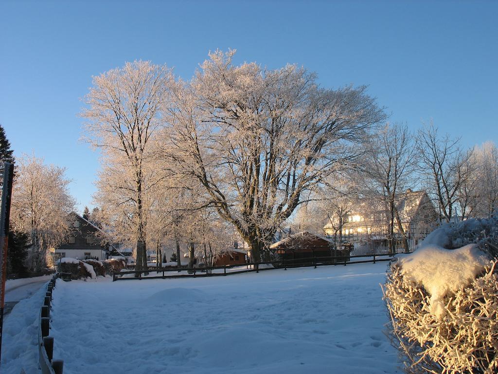 Ferienwohnungen Landgasthof Gilsbach Winterberg Esterno foto